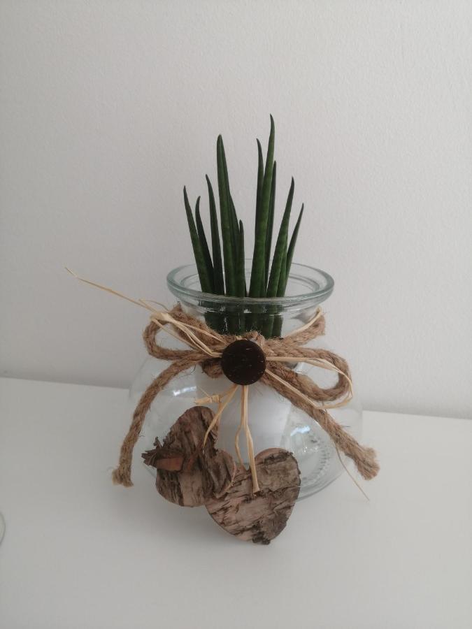 בפורטורוז Apartma Pinea מראה חיצוני תמונה